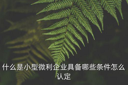 什么是小型微利企業(yè)具備哪些條件怎么認(rèn)定