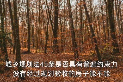 城鄉(xiāng)規(guī)劃條例，中華人民共和國城鄉(xiāng)規(guī)劃法四十四條