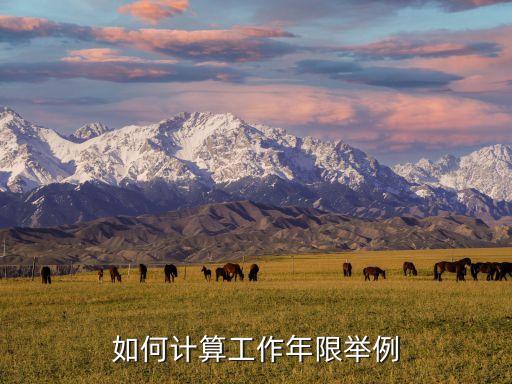 如何計(jì)算工作年限舉例