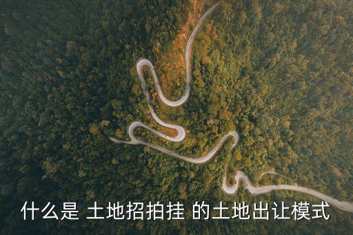 招拍掛，土地劃撥轉讓招拍掛什么意思