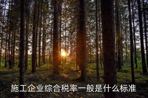 施工企業(yè)綜合稅率一般是什么標(biāo)準(zhǔn)