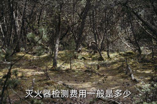 滅火器檢測(cè)費(fèi)用一般是多少