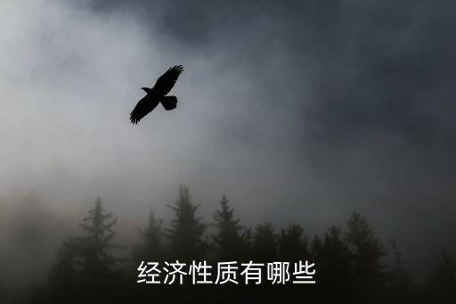 經(jīng)濟性質，經(jīng)濟性質有哪些