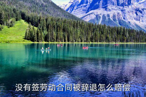 沒(méi)有簽勞動(dòng)合同被辭退怎么賠償