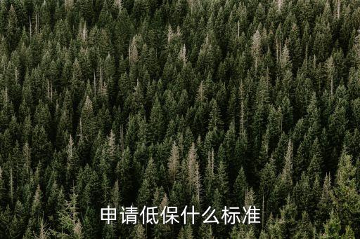 低保戶的標準是什么，申請低保什么標準