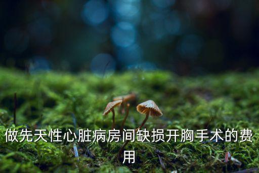 開胸手術(shù)費用，做先天性心臟病房間缺損開胸手術(shù)的費用