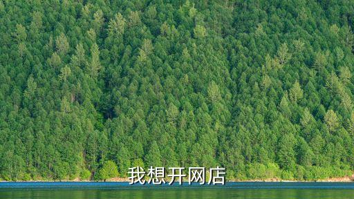 我想開(kāi)網(wǎng)店
