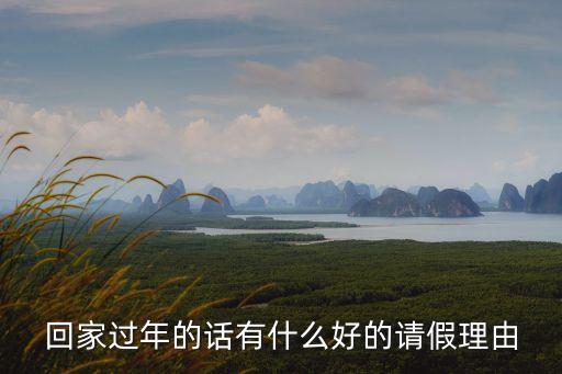 回家過年的話有什么好的請假理由
