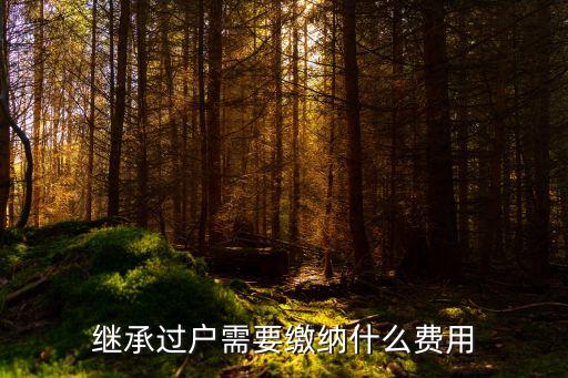 子女繼承房產(chǎn)過戶費(fèi)用，繼承房產(chǎn)交易過戶的費(fèi)用有哪些