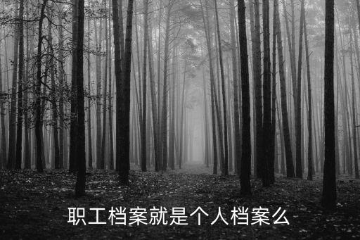 職工檔案就是個人檔案么