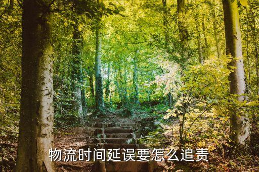 物流時間延誤要怎么追責(zé)