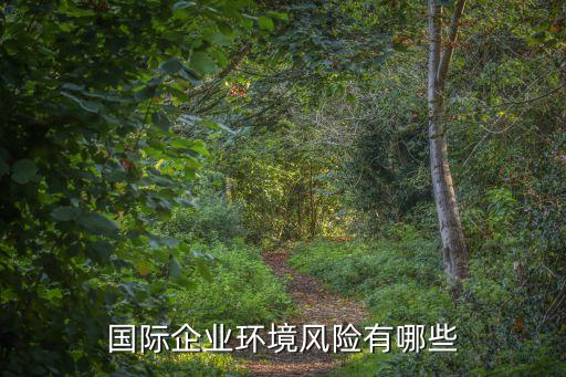 環(huán)境風(fēng)險，自然環(huán)境風(fēng)險是環(huán)境對企業(yè)造成危害的風(fēng)險嗎那么污染環(huán)境屬于什么