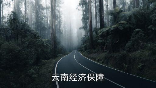 云南經(jīng)濟(jì)保障