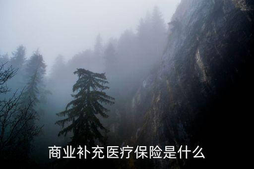 商業(yè)補(bǔ)充醫(yī)療保險(xiǎn)，商業(yè)補(bǔ)充醫(yī)療保險(xiǎn)是什么