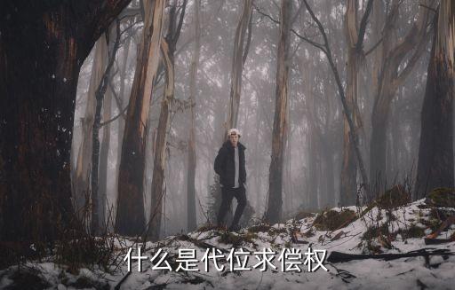 什么是代位求償權(quán)