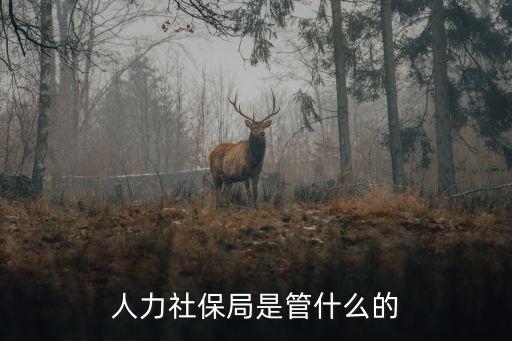 人力社保局是管什么的