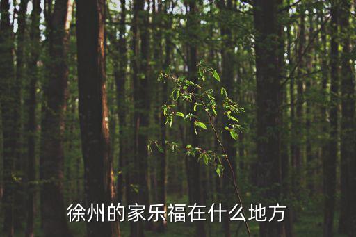 徐州家樂福，徐州市的家樂福在哪里