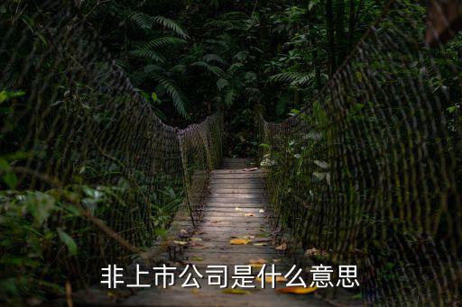 非上市公司是什么意思