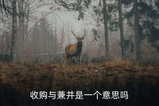 收購與兼并是一個意思嗎