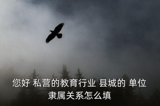 您好 私營的教育行業(yè) 縣城的 單位隸屬關(guān)系怎么填