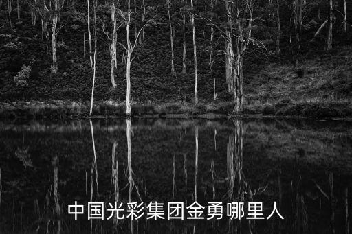 金勇，中國光彩集團金勇哪里人