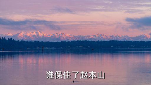 誰保住了趙本山