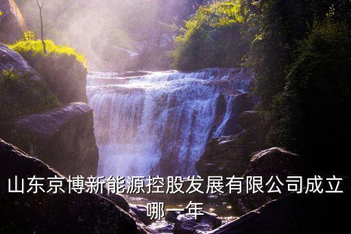 山東京博新能源控股發(fā)展有限公司成立哪一年
