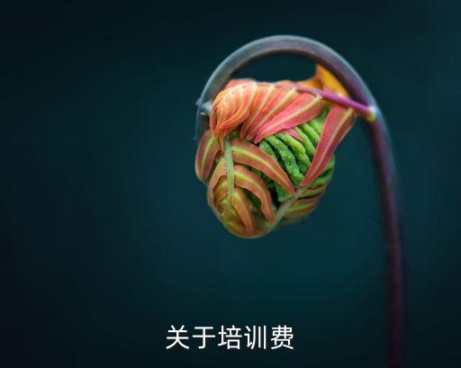 培訓(xùn)費(fèi)，在法律上公司收取的 培訓(xùn)費(fèi) 是怎么定義的
