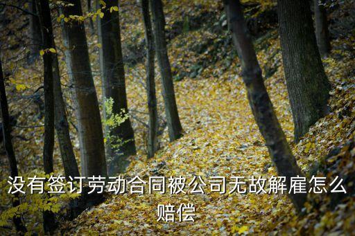 沒(méi)有簽訂勞動(dòng)合同被公司無(wú)故解雇怎么賠償