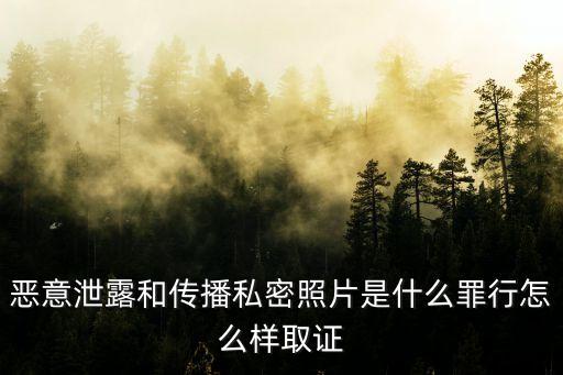 泄露個人隱私怎么定罪，惡意泄露和傳播私密照片是什么罪行怎么樣取證
