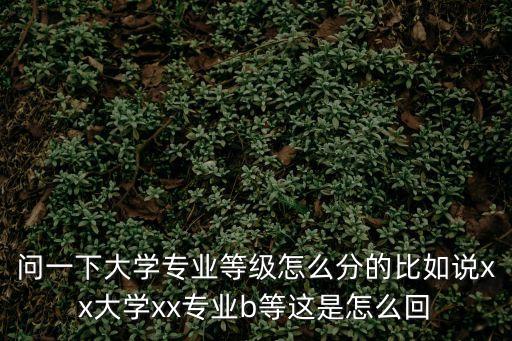 問一下，問一下大學(xué)專業(yè)等級(jí)怎么分的比如說xx大學(xué)xx專業(yè)b等這是怎么回