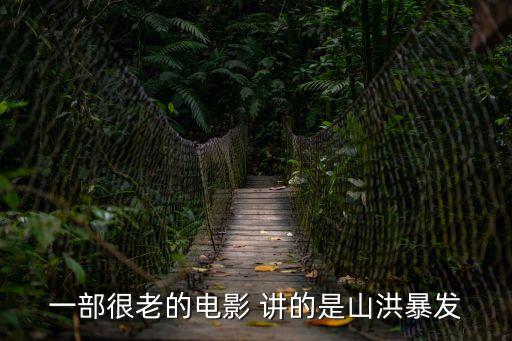 特急警報333，內(nèi)地災(zāi)難片