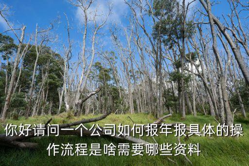 你好請(qǐng)問一個(gè)公司如何報(bào)年報(bào)具體的操作流程是啥需要哪些資料