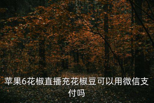 蘋果6花椒直播充花椒豆可以用微信支付嗎