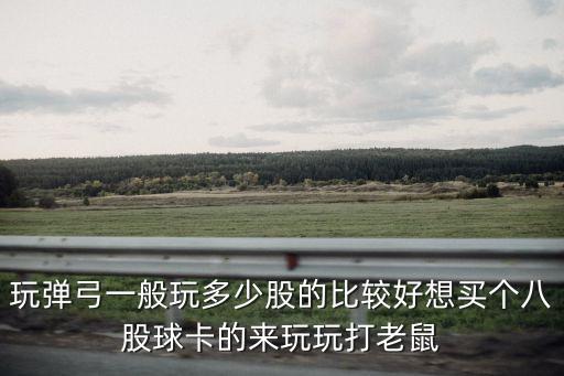 彈弓打老鼠，求助請(qǐng)教各位彈弓大師一個(gè)問(wèn)題