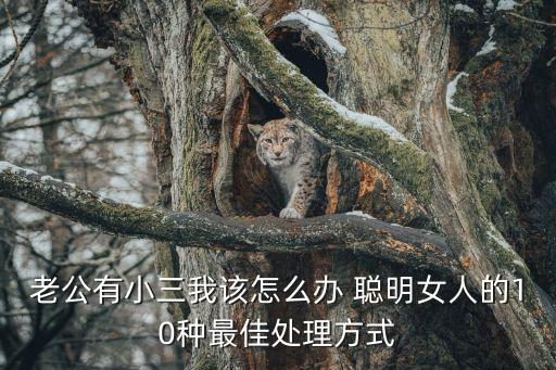 老公有小三我該怎么辦 聰明女人的10種最佳處理方式