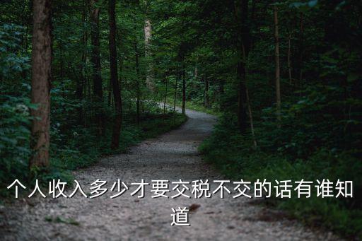 個人收入多少才要交稅不交的話有誰知道