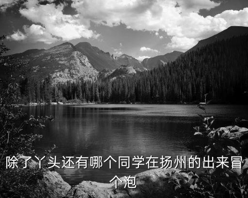 王洪磊，除了丫頭還有哪個(gè)同學(xué)在揚(yáng)州的出來(lái)冒個(gè)泡