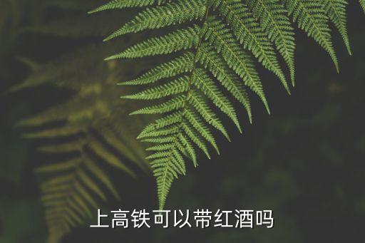 上高鐵可以帶紅酒嗎