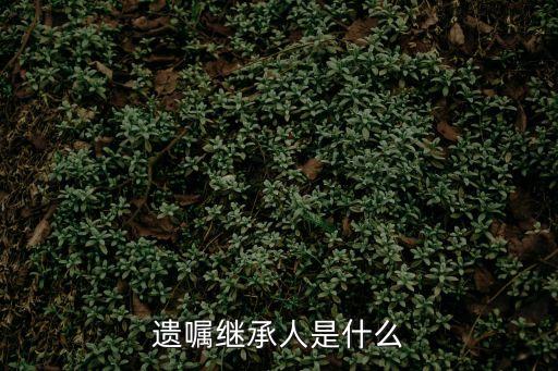 遺囑繼承人是什么