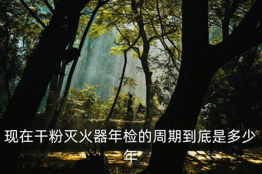 現(xiàn)在干粉滅火器年檢的周期到底是多少年