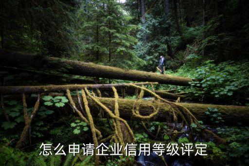 企業(yè)信用等級(jí)怎么評(píng)定，企業(yè)信用等級(jí)評(píng)價(jià)的流程是什么