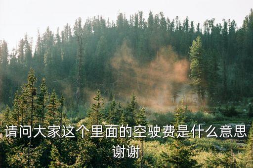 請問大家這個里面的空駛費是什么意思謝謝