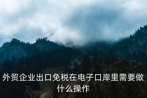 外貿(mào)企業(yè)出口免稅在電子口岸里需要做什么操作
