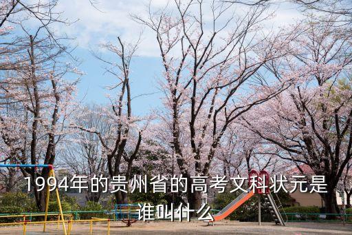 1994年的貴州省的高考文科狀元是誰(shuí)叫什么
