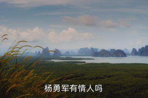 楊勇軍有情人嗎