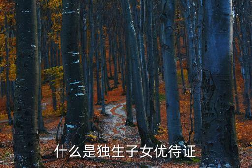 什么是獨生子女優(yōu)待證