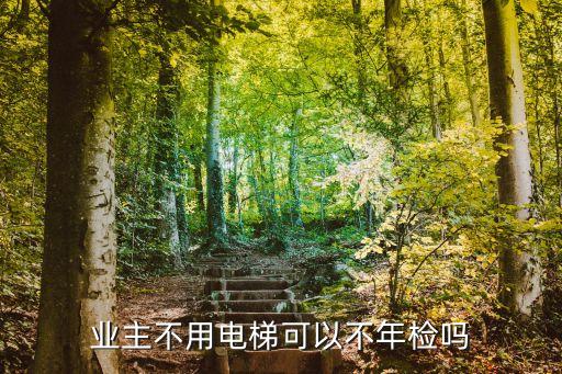 業(yè)主不用電梯可以不年檢嗎