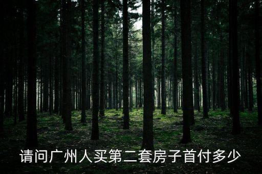 請問廣州人買第二套房子首付多少