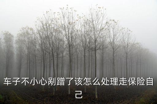 車子不小心剮蹭了該怎么處理走保險自己
